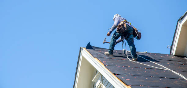 Best Emergency Roof Repair  in David City, NE